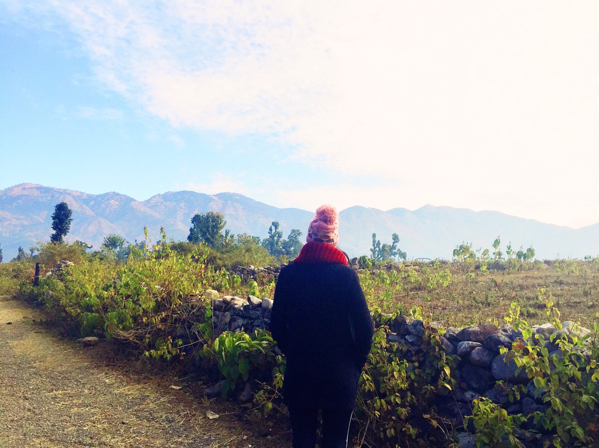 Jim Corbett National Park