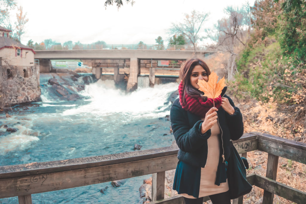 BraceBridge Falls